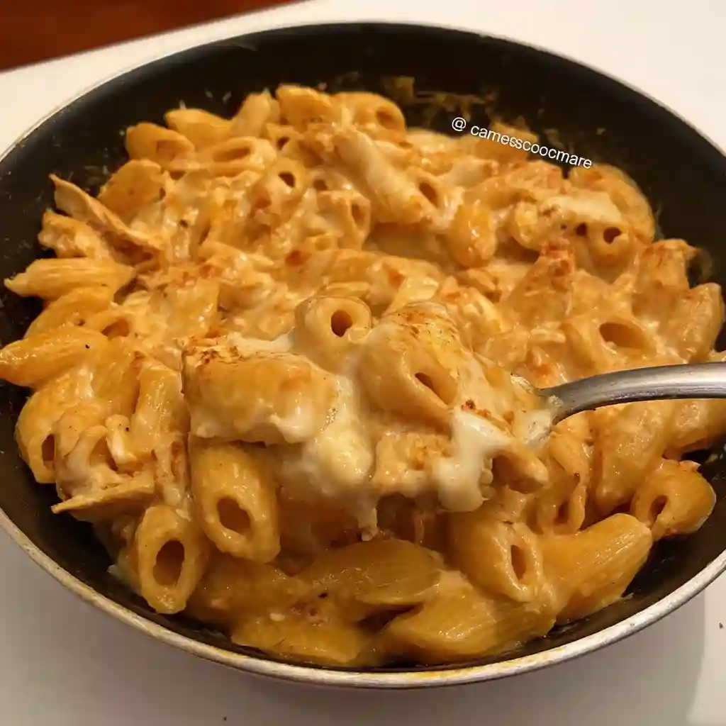 A bowl of pasta with cheese and chicken.